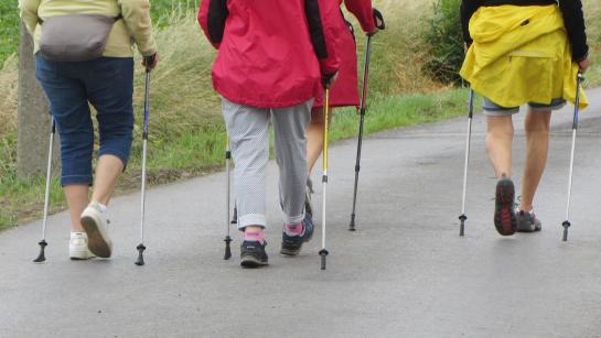 Wandelaars van de nordic walking 