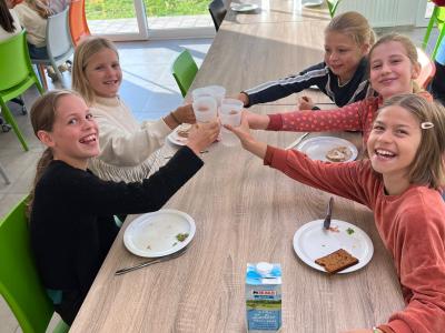 Enkele vriendinnen toasten met hun vruchtensap.