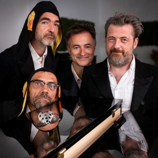 Lodewijk de Koningspinguïn